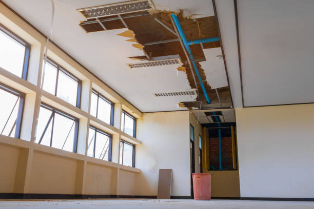 Best Mold removal after water damage  in Sewanee, TN