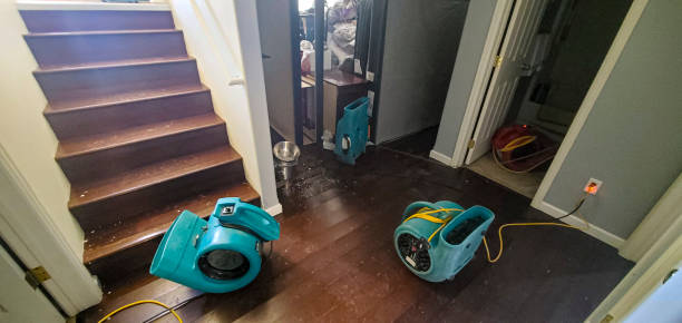  Sewanee, TN Water damage restoration Pros