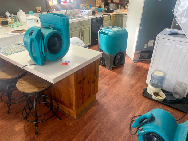 Best Sewage cleanup and water damage restoration  in Sewanee, TN