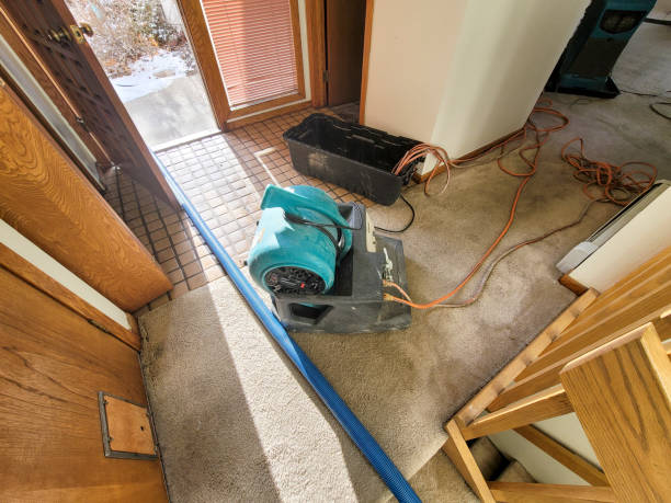 Best Emergency water damage restoration  in Sewanee, TN