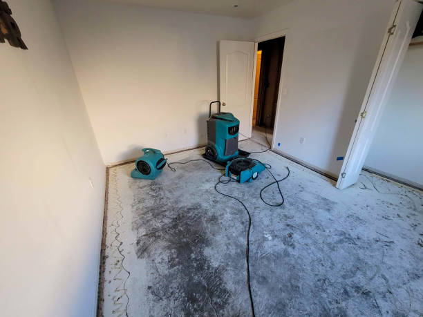 Best Water damage repair service  in Sewanee, TN