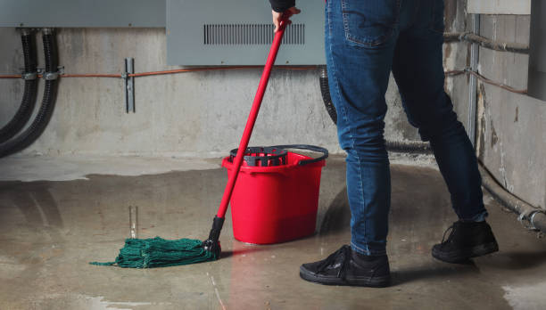 Best Flood damage cleanup  in Sewanee, TN