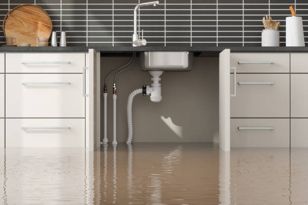Best Carpet water damage restoration  in Sewanee, TN