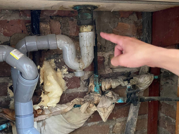 Best Water damage restoration insurance claims  in Sewanee, TN