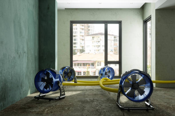 Best Basement water damage restoration  in Sewanee, TN