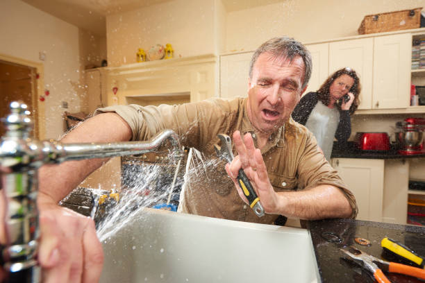 Best Water damage cleanup near me  in Sewanee, TN